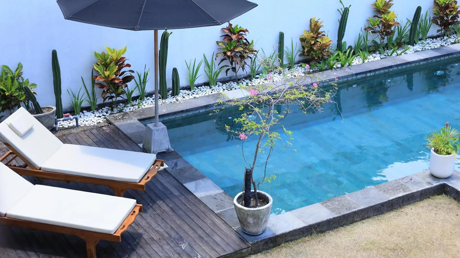 Beta Stay And Surf Canggu