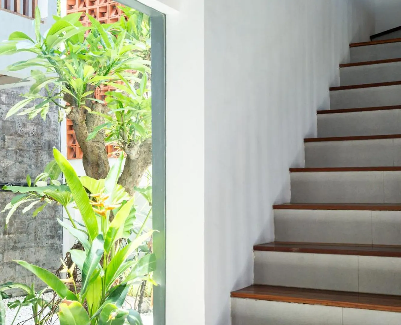 Beta Stay And Surf Canggu  Homestay
